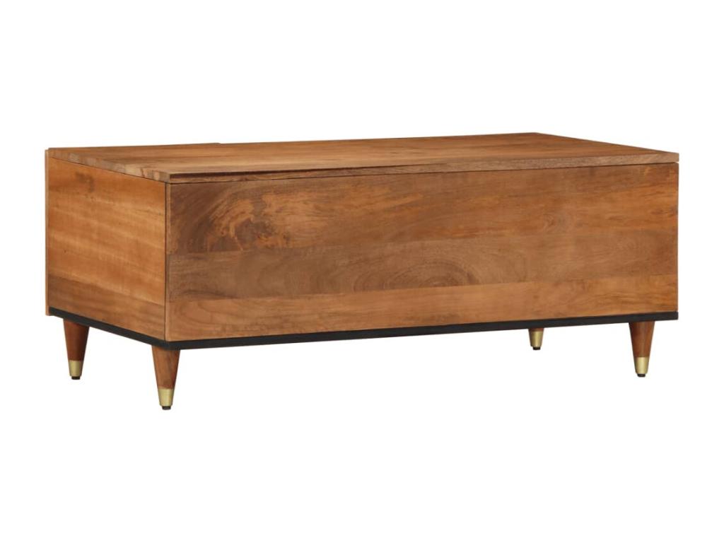 Table basse marron, 100 x 54 x 40 cm