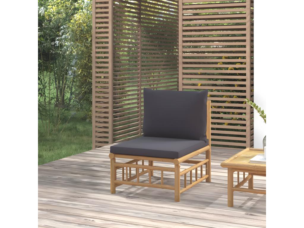 Canapé gris - dlz1766568552526